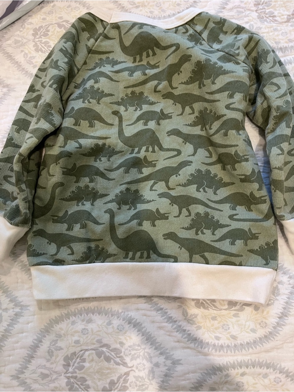 Kids Green Dinosaur Print sweatshirt winter water factory 3t